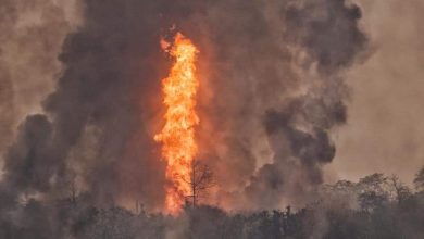 Photo of NGT says Oil India Limited (OIL) Was Illegally Drilling In Baghjan Oil Field