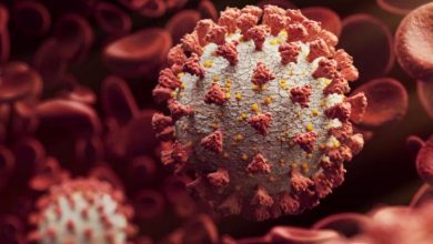 Photo of Delta Plus Variant Not Yet Classified As Variant Of Concern: Dr. Paul