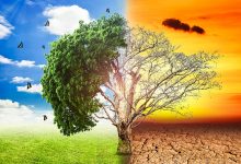Photo of Create Plans to Protect Workers from Heat in a Warming World
