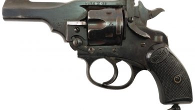 Photo of From “Laddos” to Firearms, Uttar Pradesh town to produce Webley & Scott Revolvers soon!