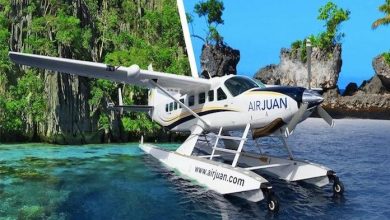 Photo of Shipping Ministry & Civil Aviation Ministry Sign MoU For Development Of Sea Plane Services In India