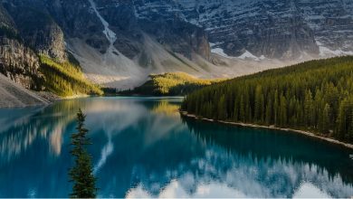 Photo of Covid-19’s Impact On Global Tourism Made Clear As UNWTO Counts The Cost Of Standstill