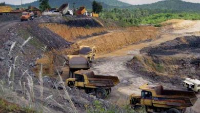 Photo of Western Coalfields Limited to double rail despatch to meet coal demand