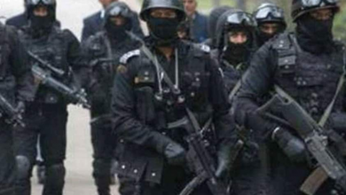 Photo of Kumbh Mela 2021: NSG Commandos To Be Deployed For Safety, Says Uttarakhand Police