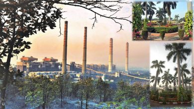 Photo of NTPC’s Oldest Unit At Singrauli Records Highest PLF In Current Fiscal