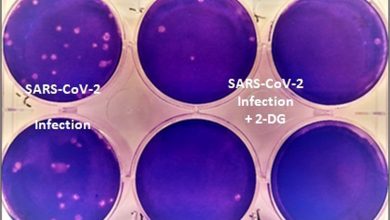 Photo of DCGI Approves Anti-COVID Drug Developed By DRDO For Emergency Use