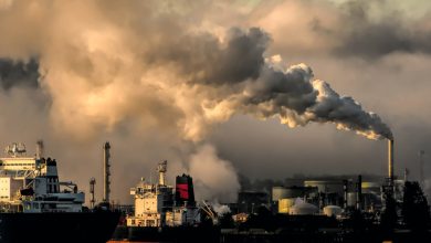 Photo of Climate Litigation Is Increasingly Impacting Companies For their Environmental Credentials