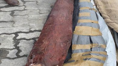Photo of DRI Seizes 10.230 Metric Tonnes Of Red Sanders Estimated Worth Rs 6 crore At ICD, Palwal, Haryana