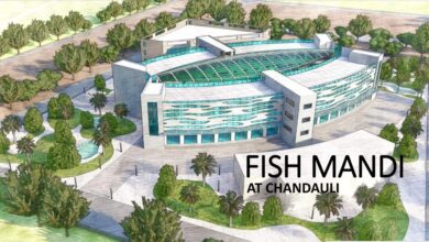 Photo of India’s First State-of-the Art Wholesale Fish Market To Come Up In Chandauli, Uttar Pradesh