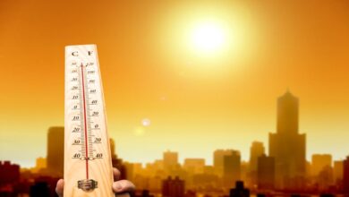 Photo of Increasing Heat Stress Give Rise To Extreme Weather Events