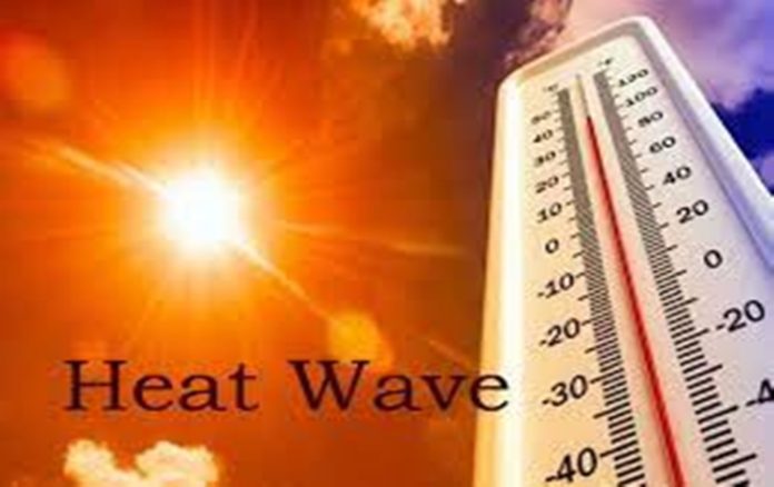 India's Sweltering Heat In June Linked To Climate Change - Indian PSU |  Public Sector Undertaking News