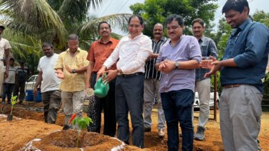 Photo of Papaya Plantation Drive At RINL