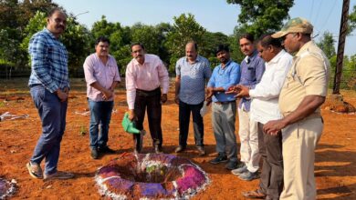 Photo of 2nd Phase Of Papaya Plantation Taken Up At RINL