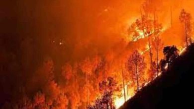 Photo of Uttarakhand Forest Fire : CM Dhami In Action, Suspends 10 Forest Department Personnel