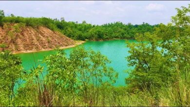 Photo of South Eastern Coalfields Limited Spearheads Accredited Compensatory Afforestation