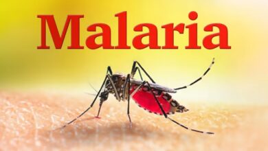 Photo of Eradicating Malaria Across Asia: Bangladesh Succeeds In Reducing Malaria Cases By 93%