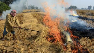 Photo of Notable Reductions In Stubble Burning In Punjab & Haryana