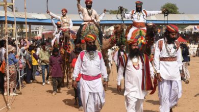 Photo of Pushkar Fair 2024 Concludes – Central And State Governments To Develop Pushkar – Diya Kumari