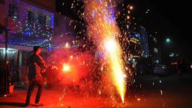 Photo of Ban On Crackers This Diwali Went Up In Smoke