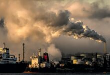 Photo of Cradle to Grave: The Health Toll of Fossil Fuels