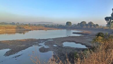 Photo of NMDC – A Model Of Agricultural Transformation: Irrigation Project Doubles Farmers’ Income In Panna, Madhya Pradesh