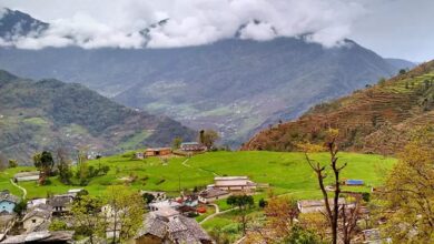Photo of Sari Village Of Rudraprayag Becomes Model Of Rural Tourism And Self-Employment