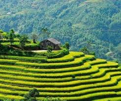 Photo of Uttarakhand Agriculture Is Undergoing A Significant Transformation Due To Climate Change
