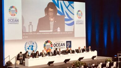 Photo of 3 World Restoration Flagships Announced In The 3rd UN Ocean Conference