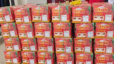 Photo of Mithila’s Shahi Litchi Takes Flight From Darbhanga Airport — A Record 108% Growth In Air Transport