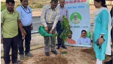 Photo of CCL and Central University Of Jharkhand Join Hands For Tree Plantation Drive Under “Ek Ped Maa Ke Naam” Campaign