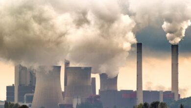Photo of Nuclear Energy is Back in Favour