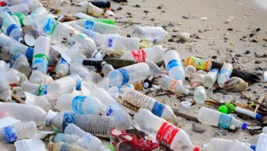 Photo of Nations are divided on a global pact of tackling plastic pollution