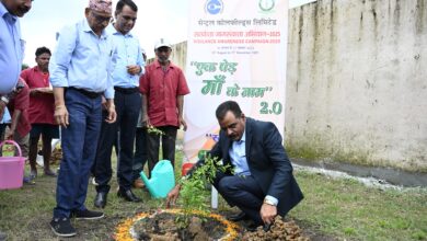 Photo of CCL Organises Tree Plantation Programme under Vigilance Awareness Campaign 2025