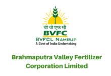 Photo of BVFCL Management Trainee Recruitment 2025 – Apply Online for 16 MT Posts, Salary up to ₹40,500/-
