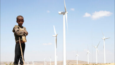 Photo of Lancet Paper Warns of Rising Health Impacts of Climate Change in Africa; New Regional Centre Launched to Boost Data and Policy Support