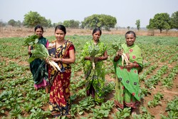 Photo of Vedanta Aluminium Reaffirms Commitment to Empower Over 20,000 Farmers with Technology and Sustainable Practices on National Farmers Day