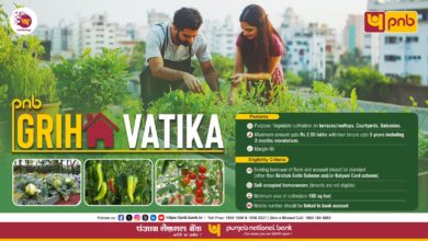 Photo of Punjab National Bank Launches ‘PNB Griha Vatika’ Digital Loan to Promote Rooftop Organic Farming