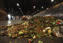 Photo of The World Wastes Food on a Staggering Scale