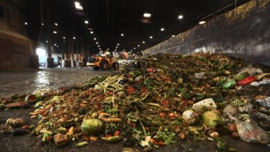 Photo of The World Wastes Food on a Staggering Scale