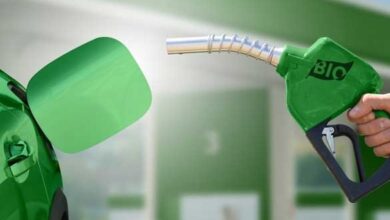 Photo of Government Prepares E25 Petrol Rollout in Delhi-NCR, Mumbai, Bengaluru