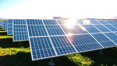 Photo of GAIL Approves ₹3,800 Crore Investment for 700 MW Solar Projects in UP and Maharashtra