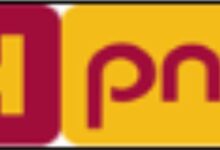 Photo of PNB Partners with Kiwi to Launch Credit on UPI for 180 Million Customers, Introduces RuPay-Based Digital Credit Card
