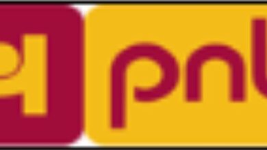 Photo of PNB Partners with Kiwi to Launch Credit on UPI for 180 Million Customers, Introduces RuPay-Based Digital Credit Card