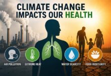 Photo of Health Fear Drives Climate Action Better Than Environmental Warnings, Says Global Study