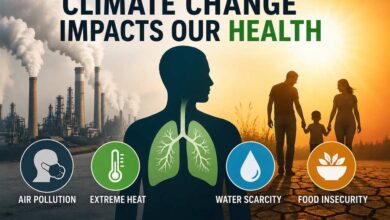 Photo of Health Fear Drives Climate Action Better Than Environmental Warnings, Says Global Study
