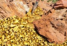 Photo of Andhra Pradesh Strikes Gold: Massive 50-Tonne Reserve Discovered, Mining Set to Transform India’s Gold Sector