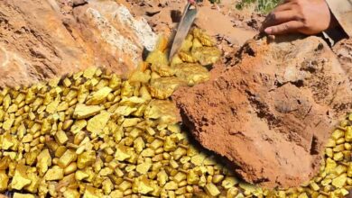 Photo of Andhra Pradesh Strikes Gold: Massive 50-Tonne Reserve Discovered, Mining Set to Transform India’s Gold Sector