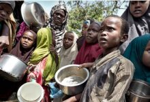 Photo of Africa Overtakes Asia as World’s Hungriest Continent; 645 Million People Faced Hunger in 2025: UN Report
