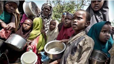 Photo of Africa Overtakes Asia as World’s Hungriest Continent; 645 Million People Faced Hunger in 2025: UN Report