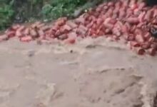 Photo of Floods Trigger Major Safety Scare at HPCL Patalganga Plant; Around 3,000 LPG Cylinders Swept Away